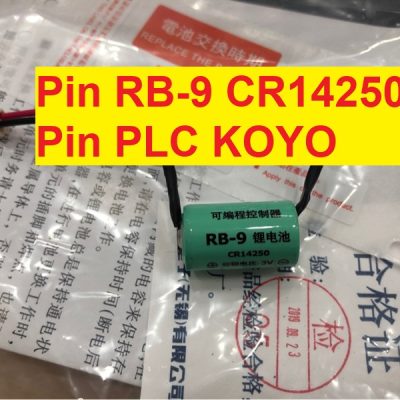 Pin RB-9 CR14250 koyo
