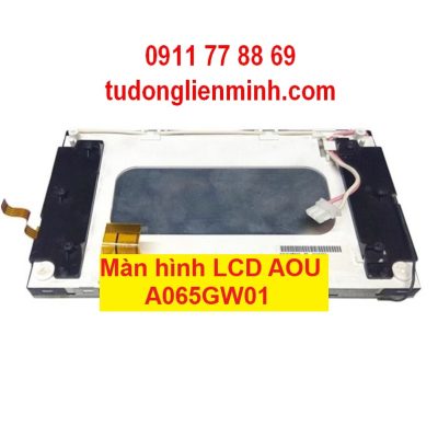 Màn hình LCD AOU A065GW01