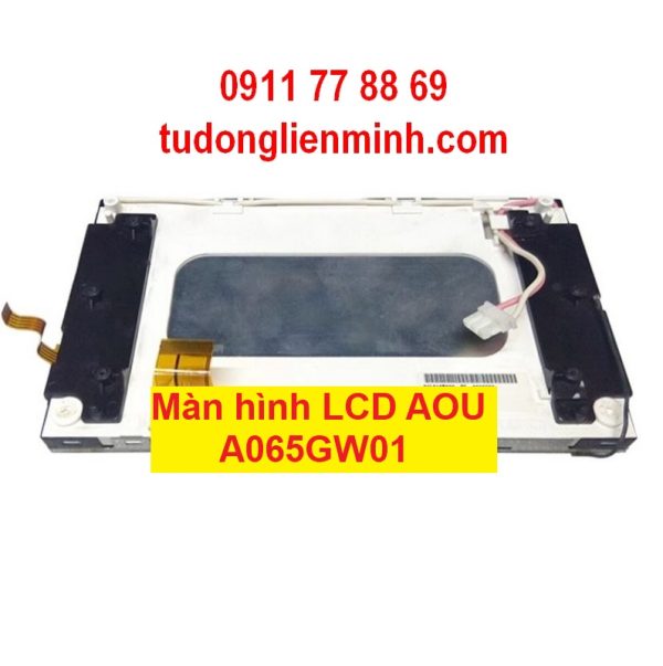 Màn hình LCD AOU A065GW01