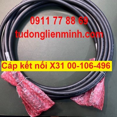 Cáp kết nối X31 00-106-496