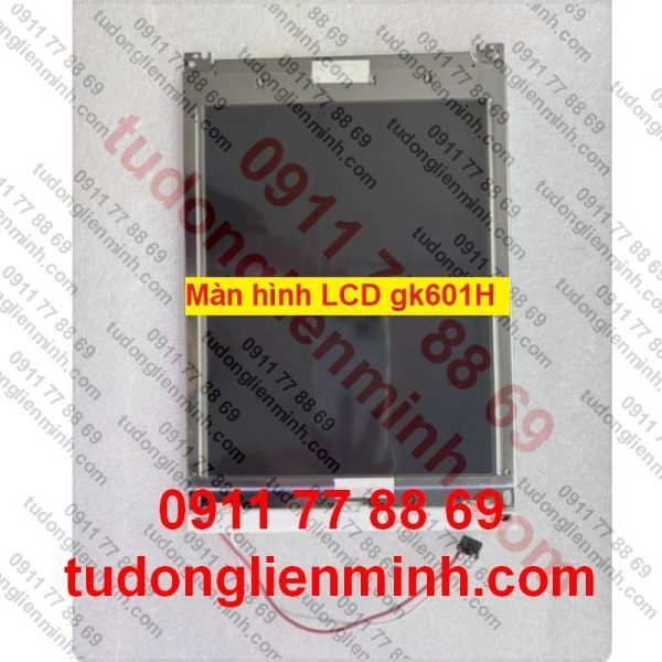 Màn hình LCD gk601H