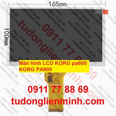 Màn hình LCD KORG pa600 KORG PA900